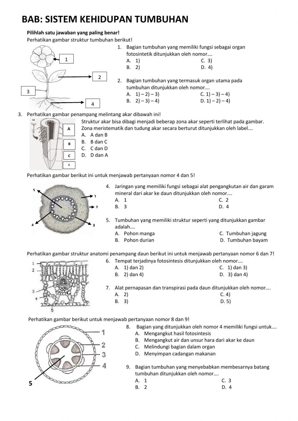 Penilian Harian -Sistem Kehidupan Tumbuhan-