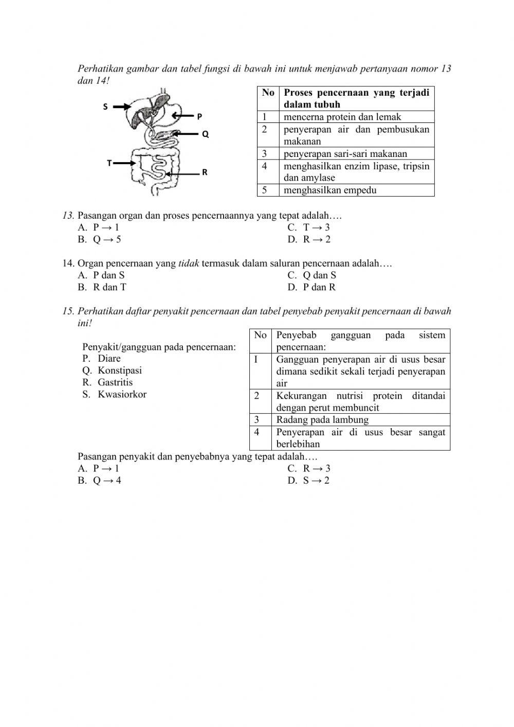 Penilaian Harian -Sistem Pencernaan Manusia-