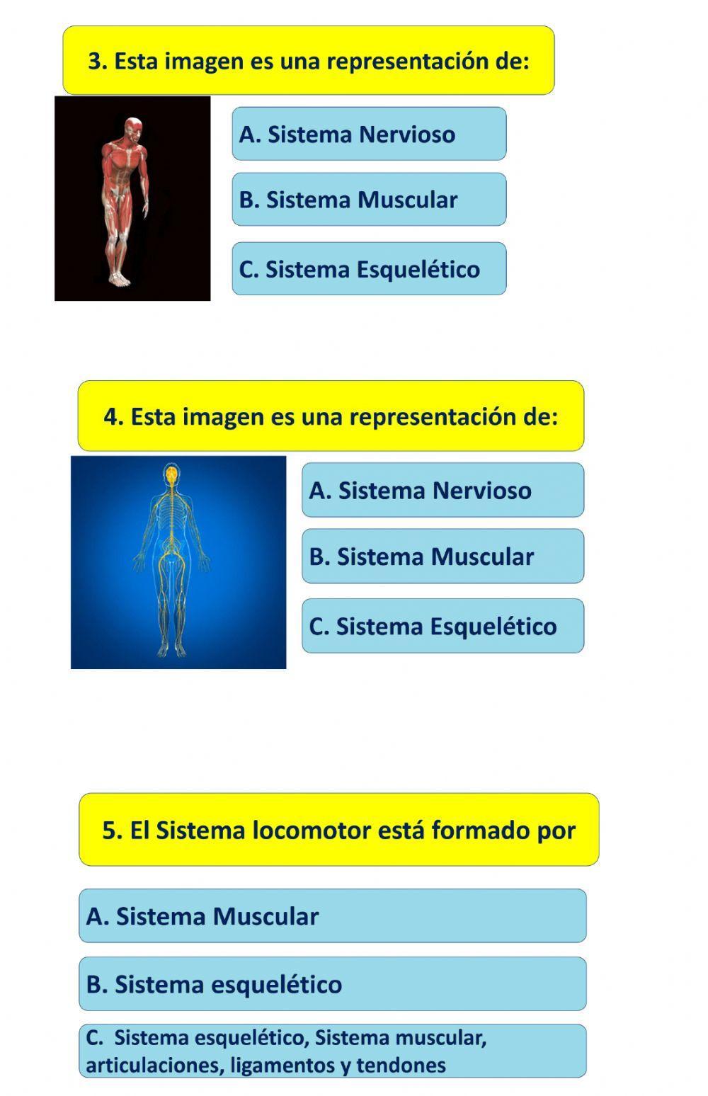 Guía evaluación Sistema Locomotor