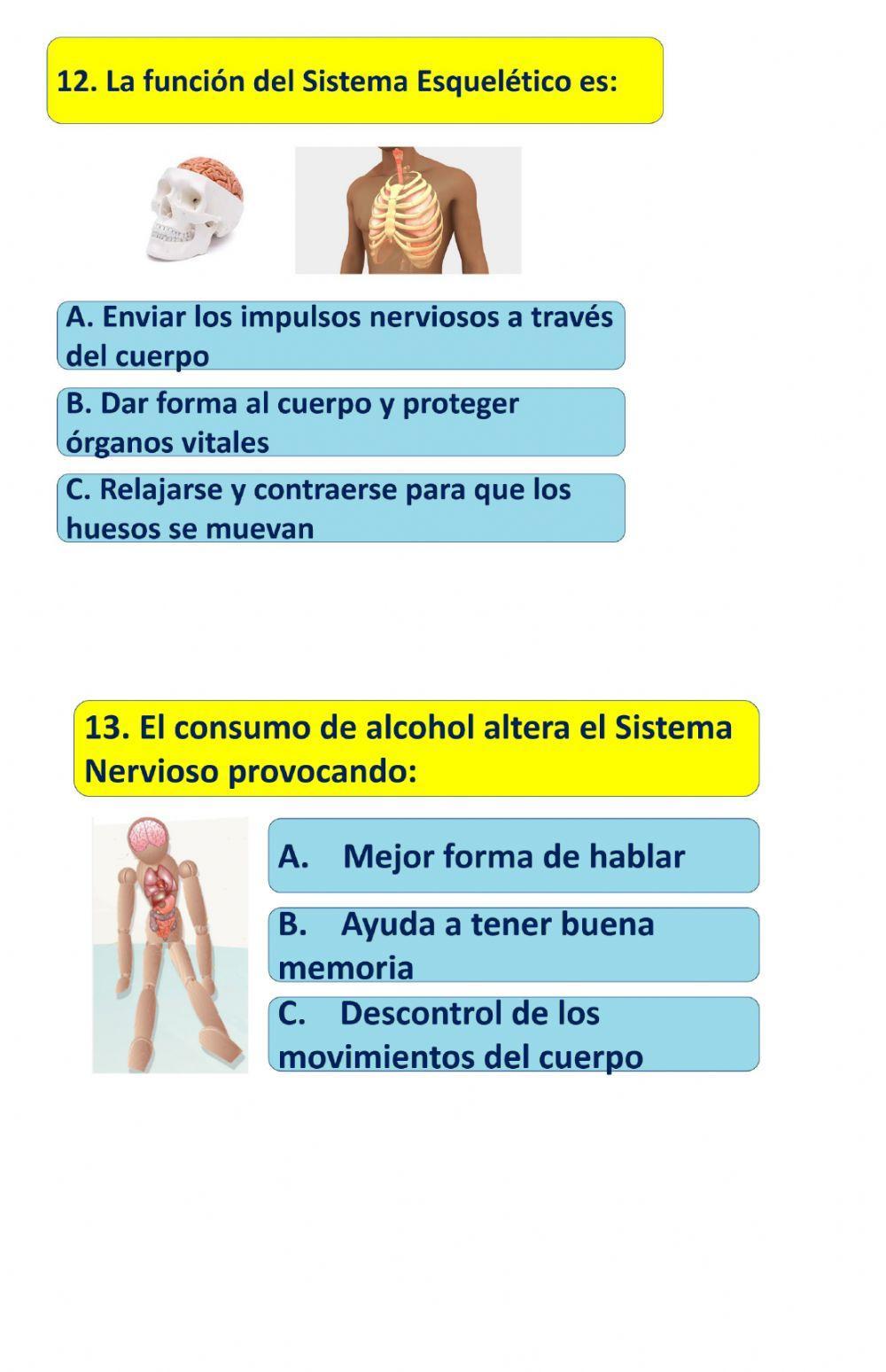 Guía evaluación Sistema Locomotor
