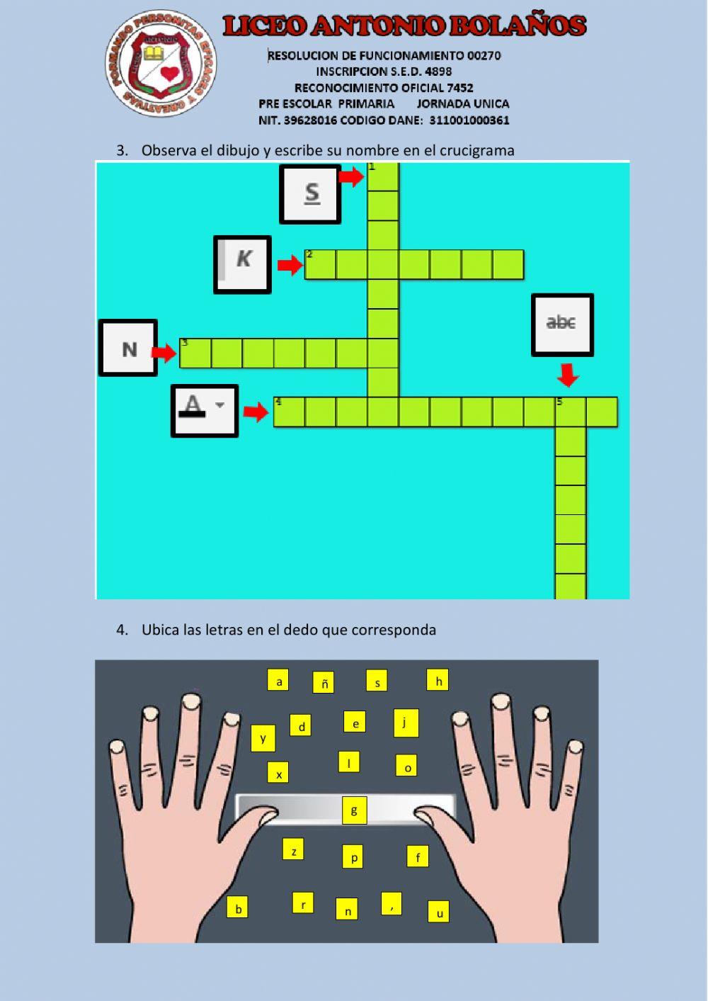 Sistemas word y paint