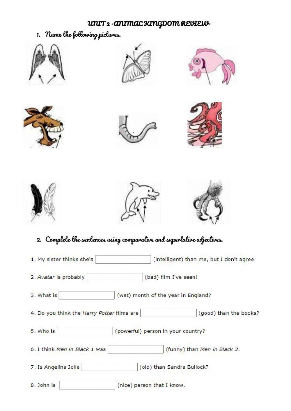 Animals, comparatives and superlatives