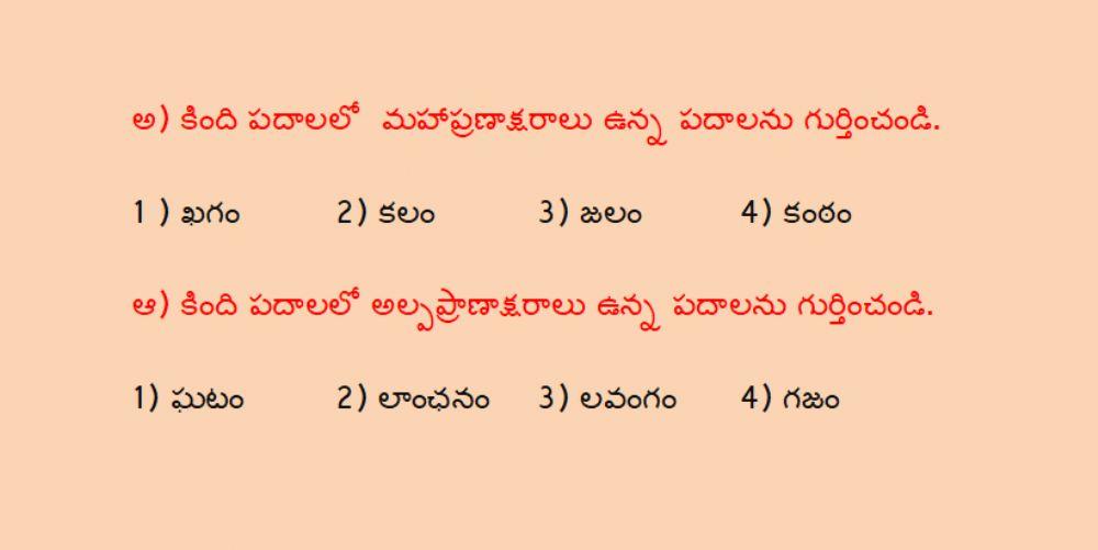 3 Telugu మన పండుగలు 3