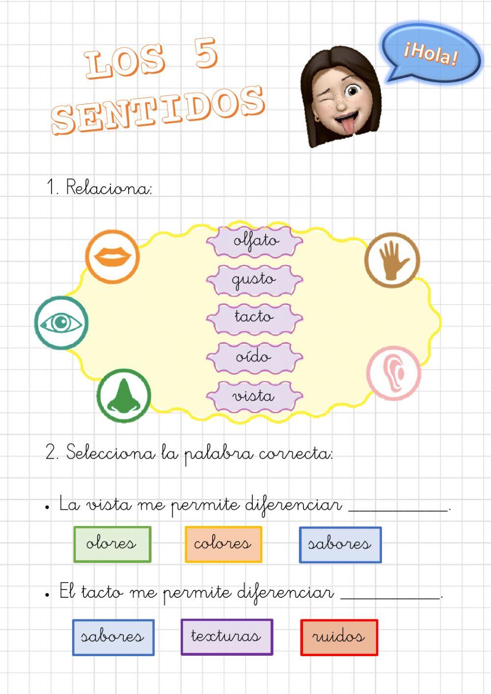 Los 5 sentidos