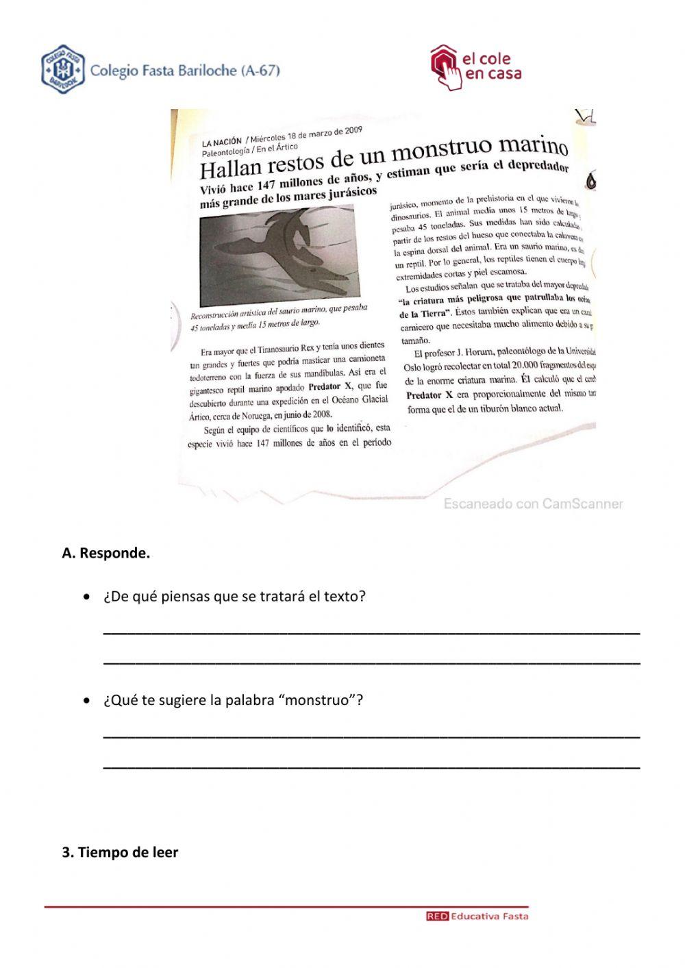 Hallan restos de un monstruo marino