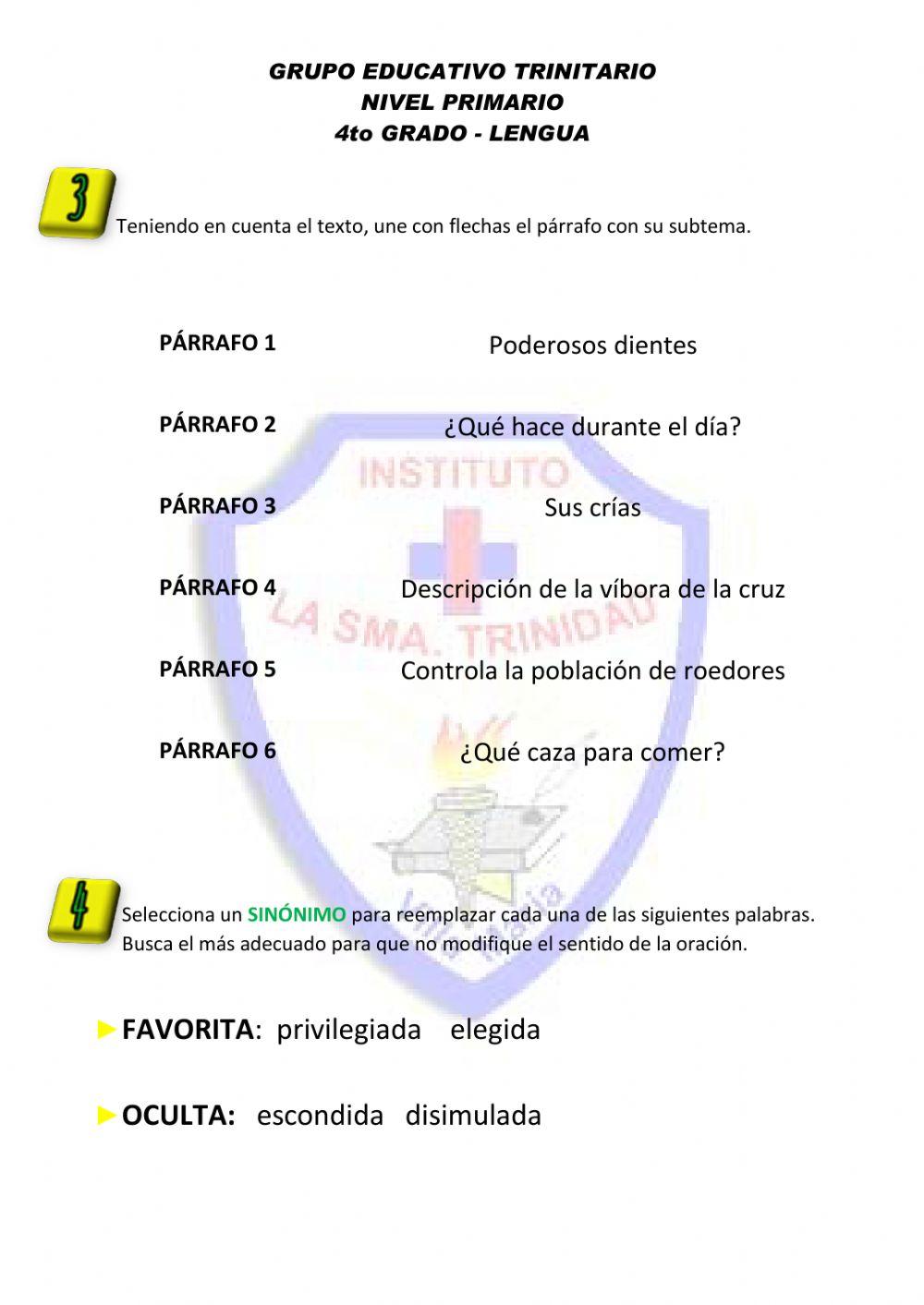 Actividad 54 - trabajo integrador