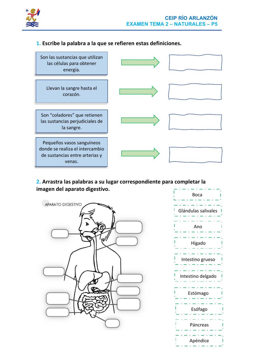 Alimentación y hábitos saludables - P5