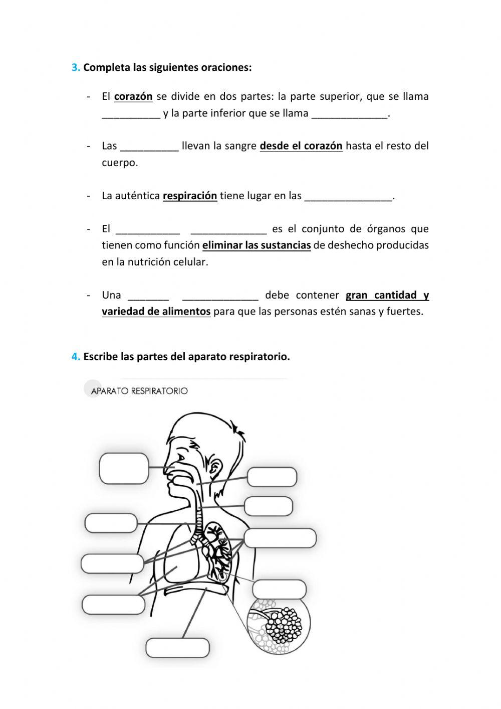 Alimentación y hábitos saludables - P5