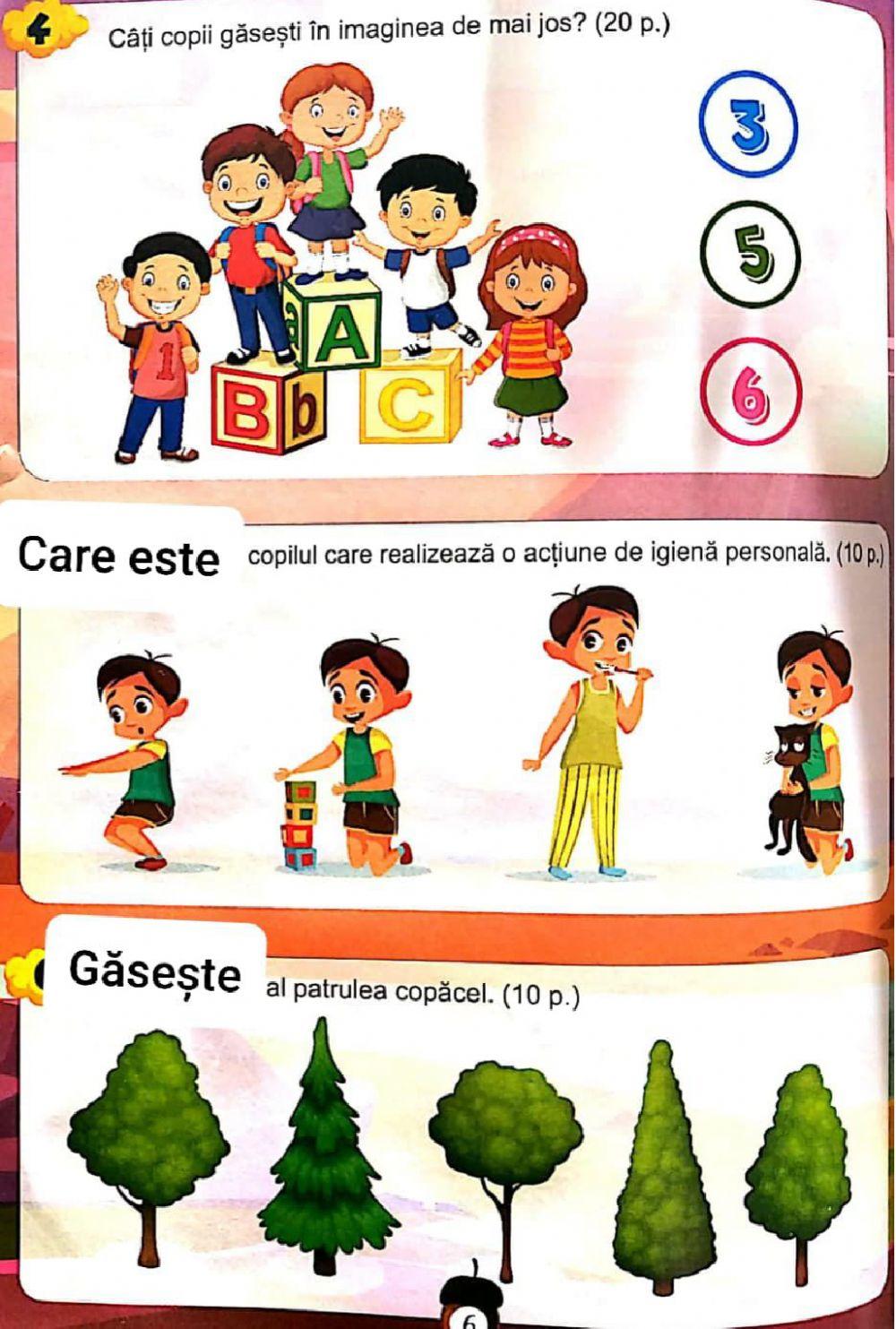 Fisa concurs micul istet g mare