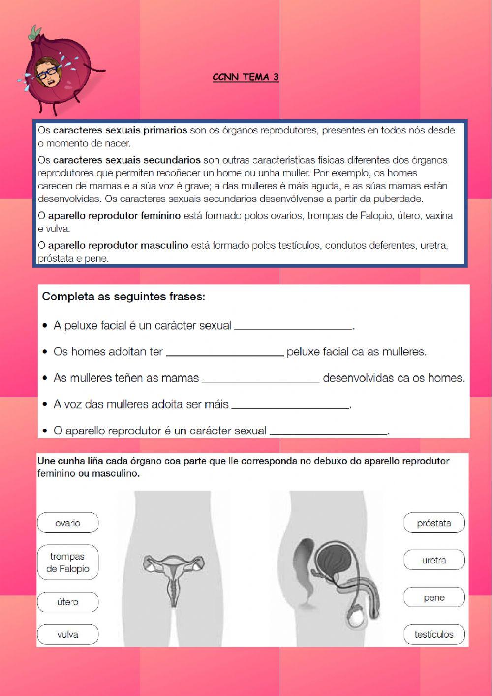 O aparello reproductor