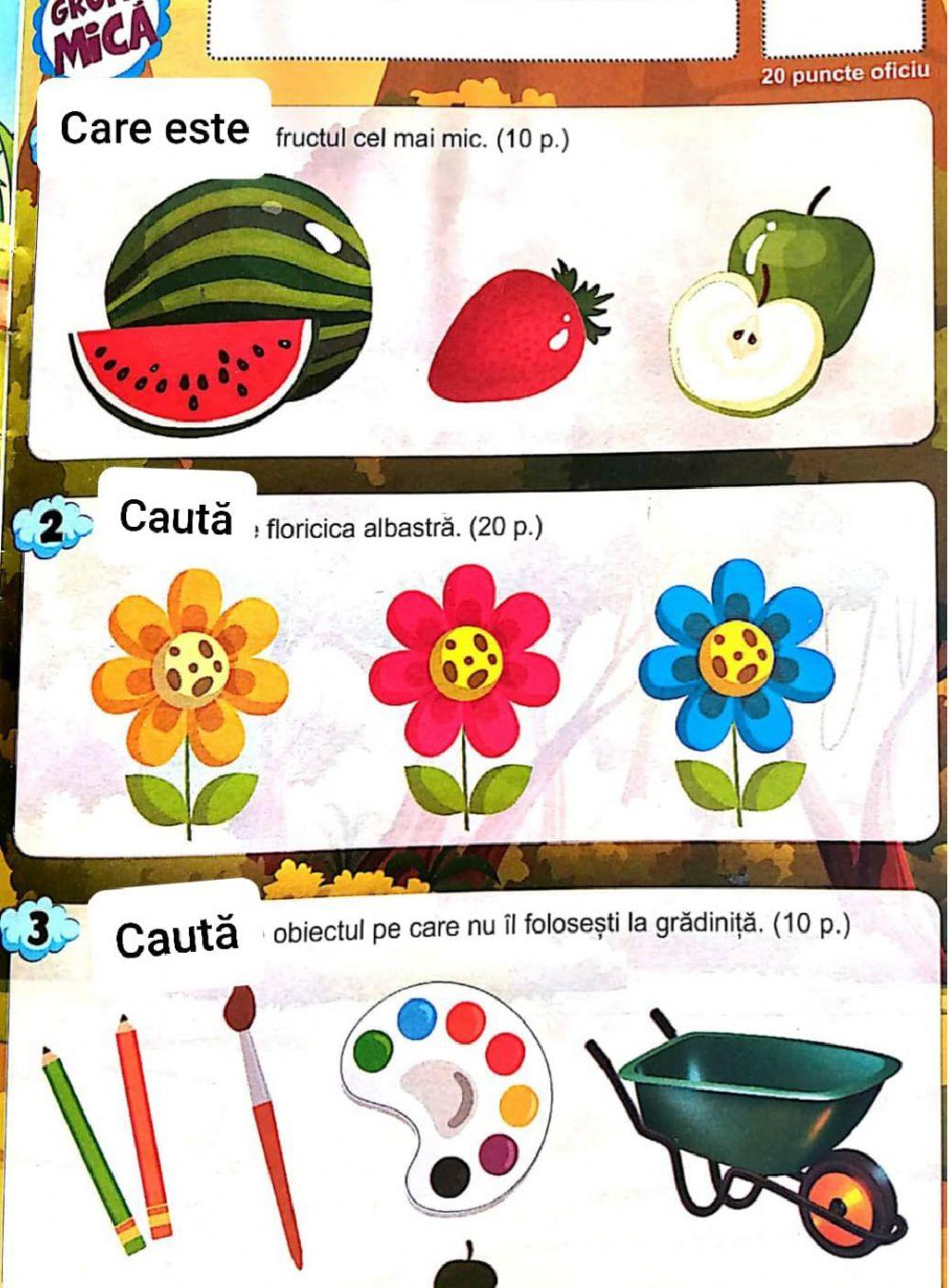 Fisa concurs micul istet mica