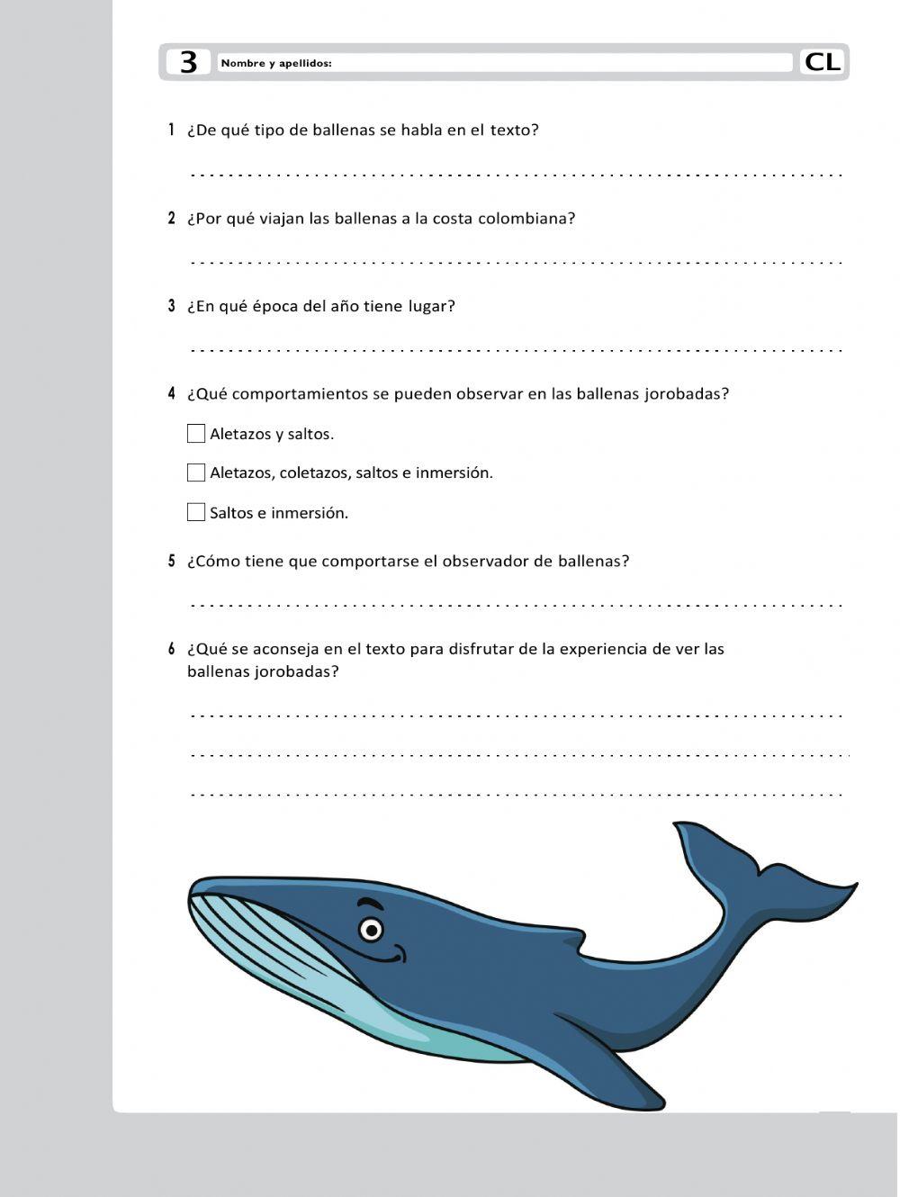 Comprensión lectora: ballenas jorobadas.