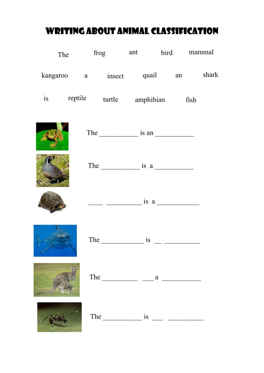 Animal classification