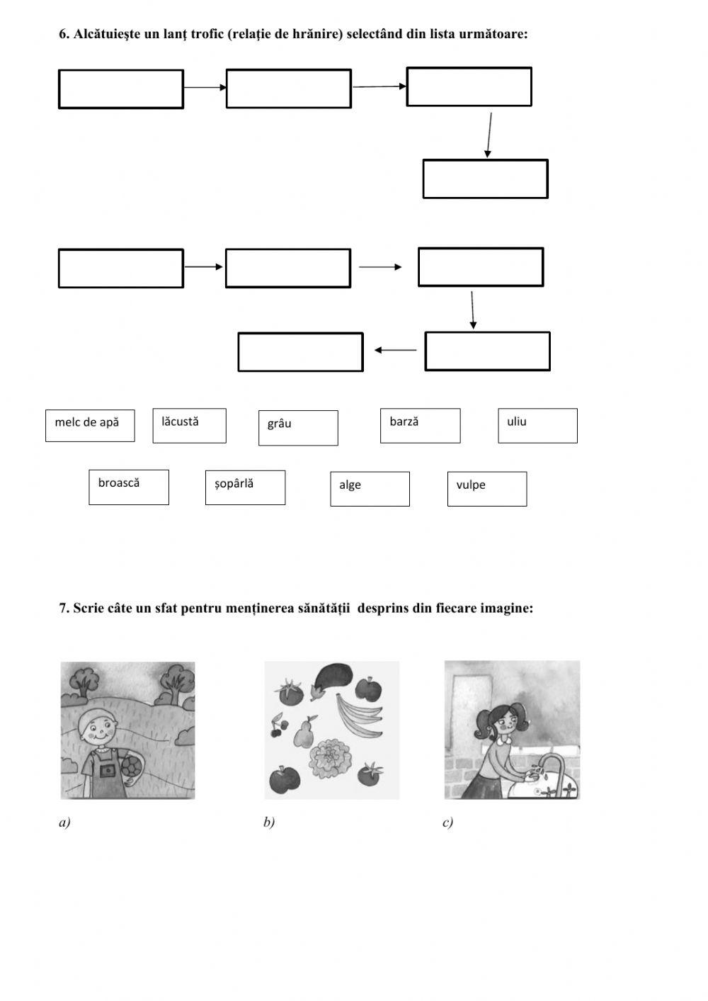 Relațiile dintre viețuitoare și mediul de viață
