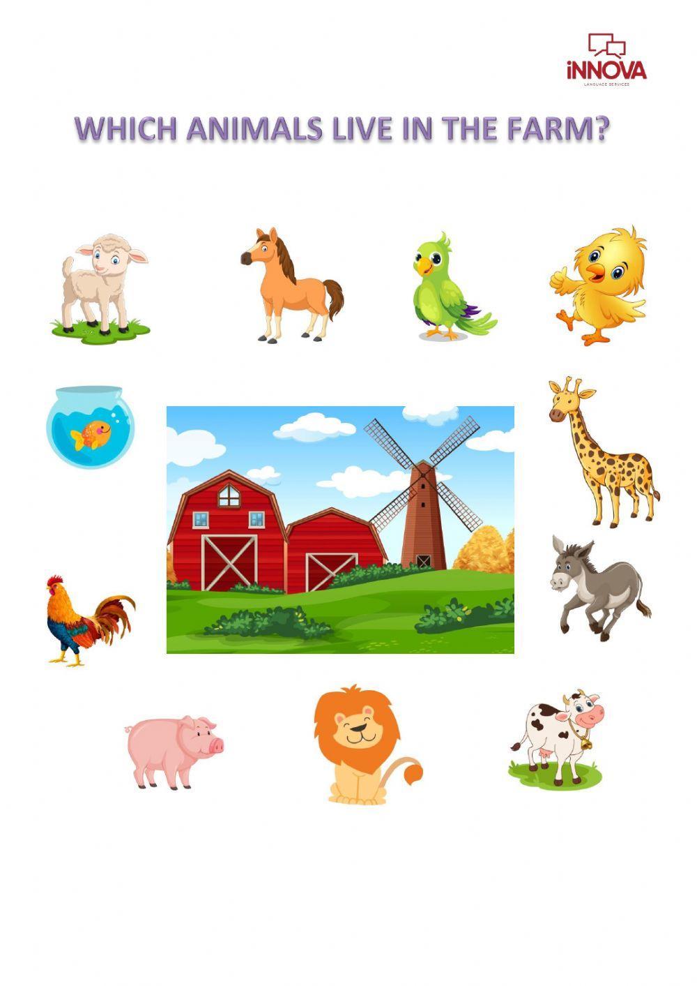 Farm animals-1