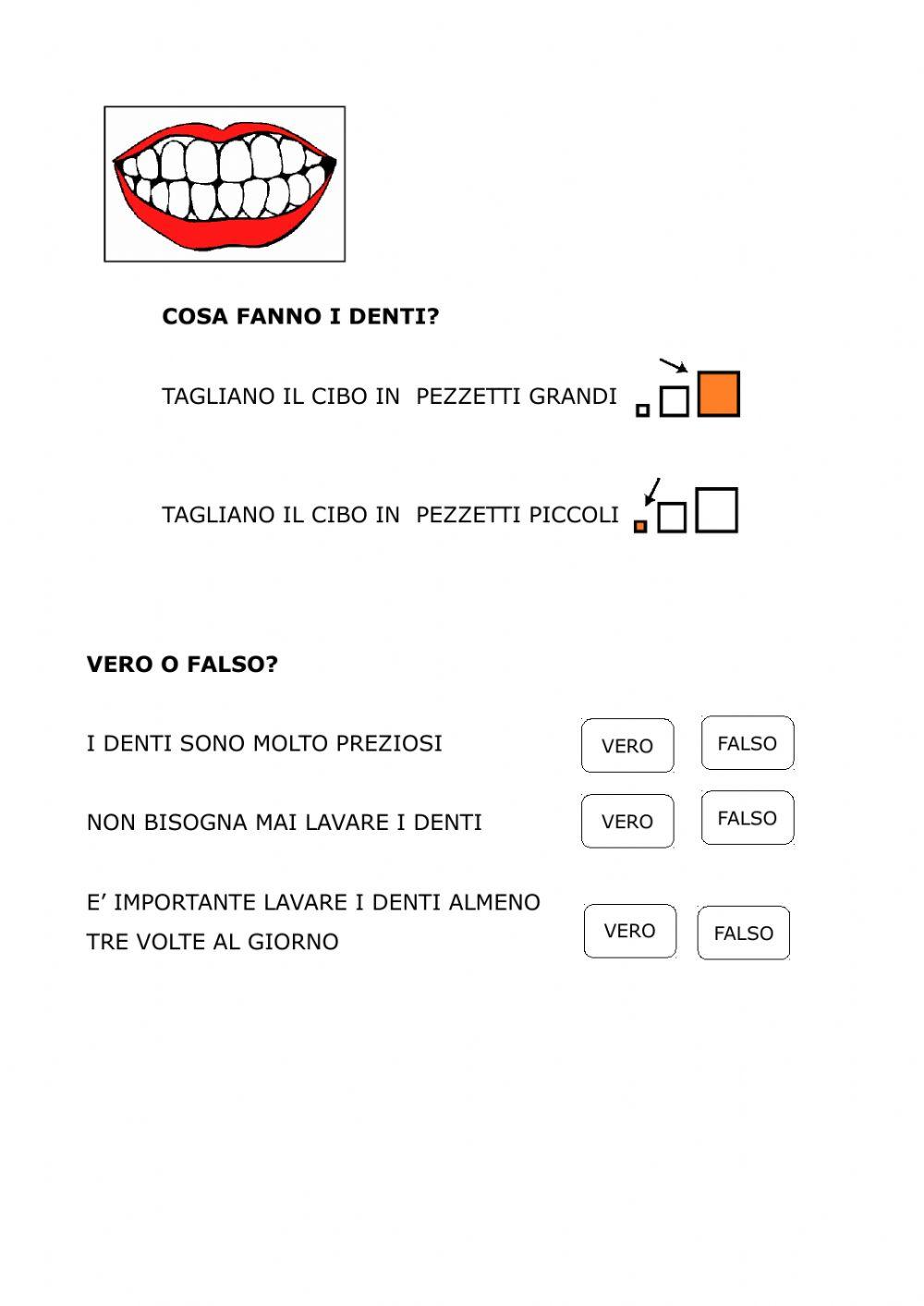 APPARATO DIGERENTE prima parte APPARATO DIGERENTE prima parte