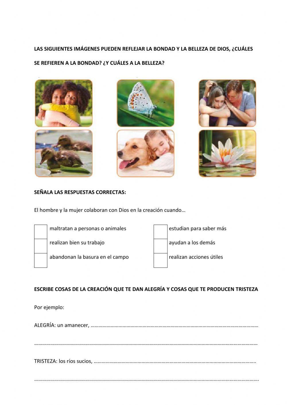 La vida, don de Dios