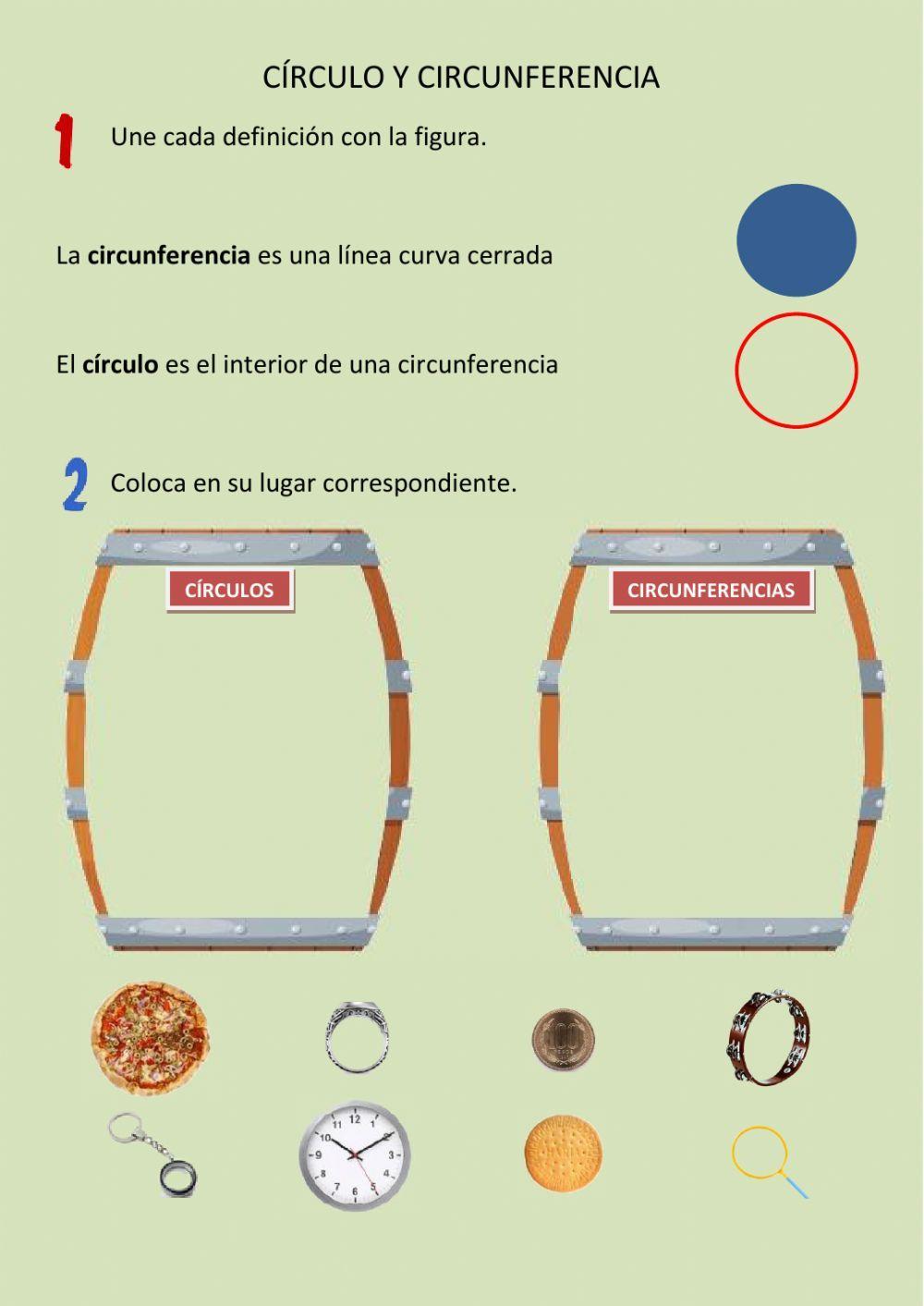 Circulo o circunferencia