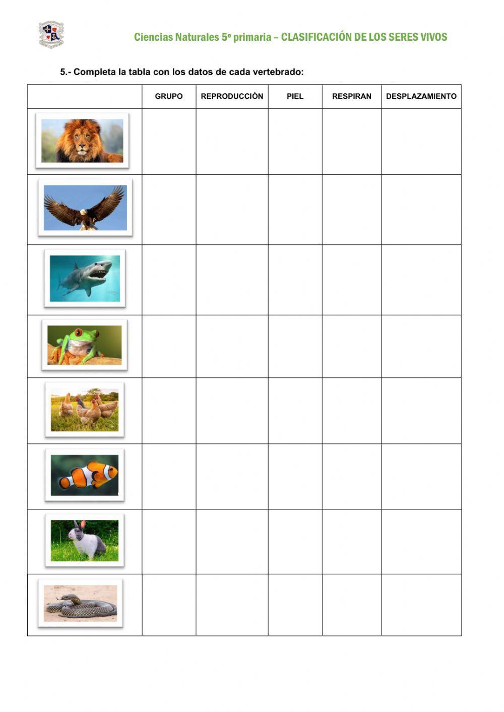 Clasificación de los Seres Vivos