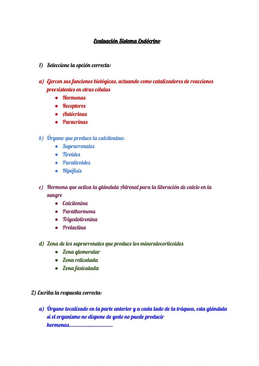 Sistema endocrino