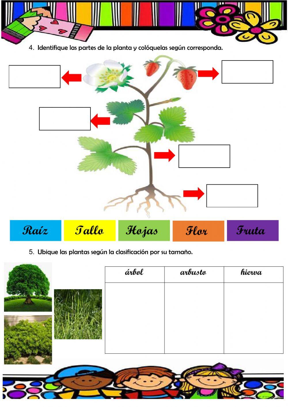 Evaluación C.Naturales