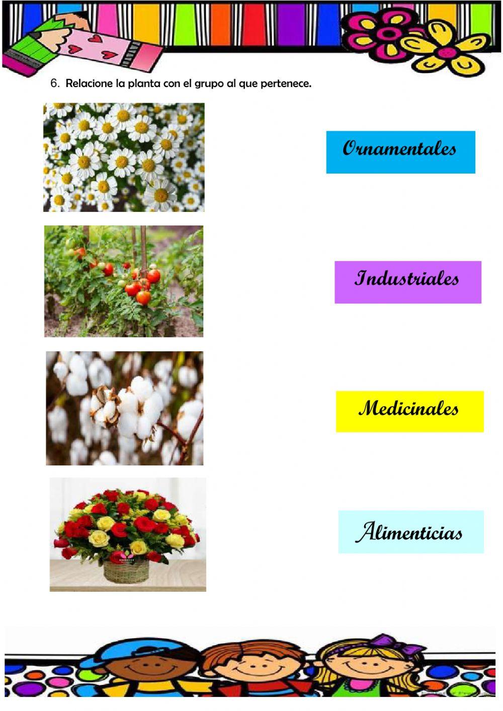 Evaluación C.Naturales