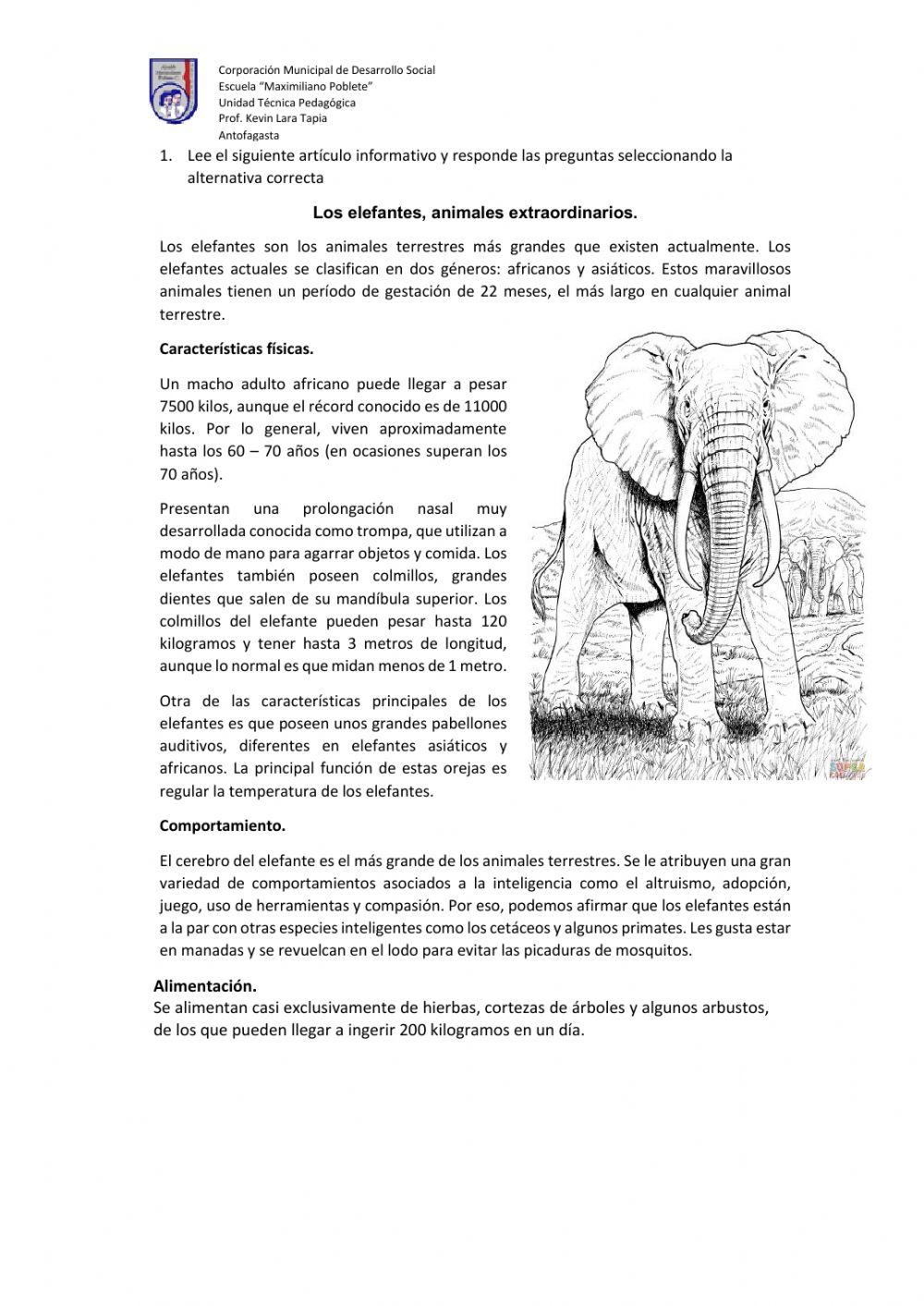 Articulo informativo el elefante