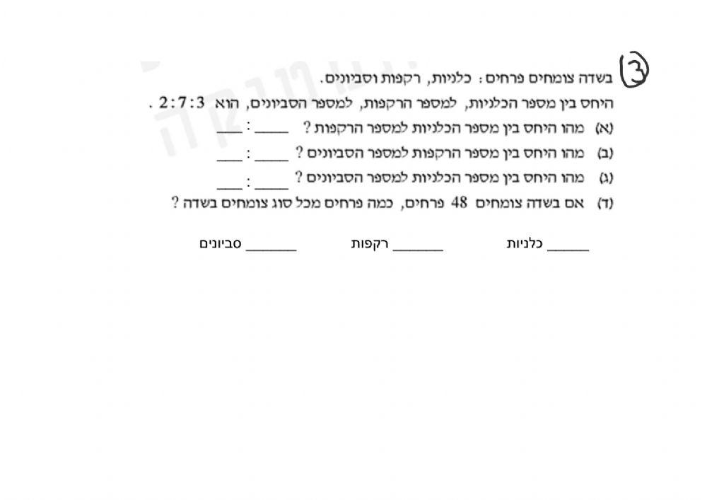 בוחן חלוקה ביחס נתון