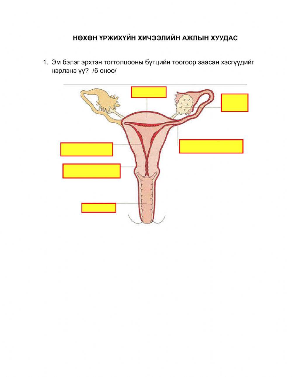 B. Oyunchimeg  Daalgavar -4