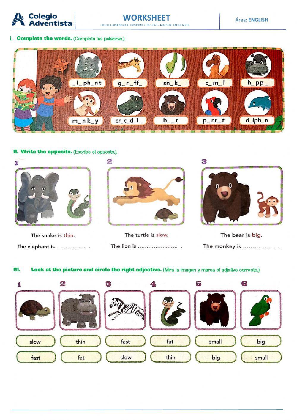 Adjectives big,… | Free Interactive Worksheets | 465609