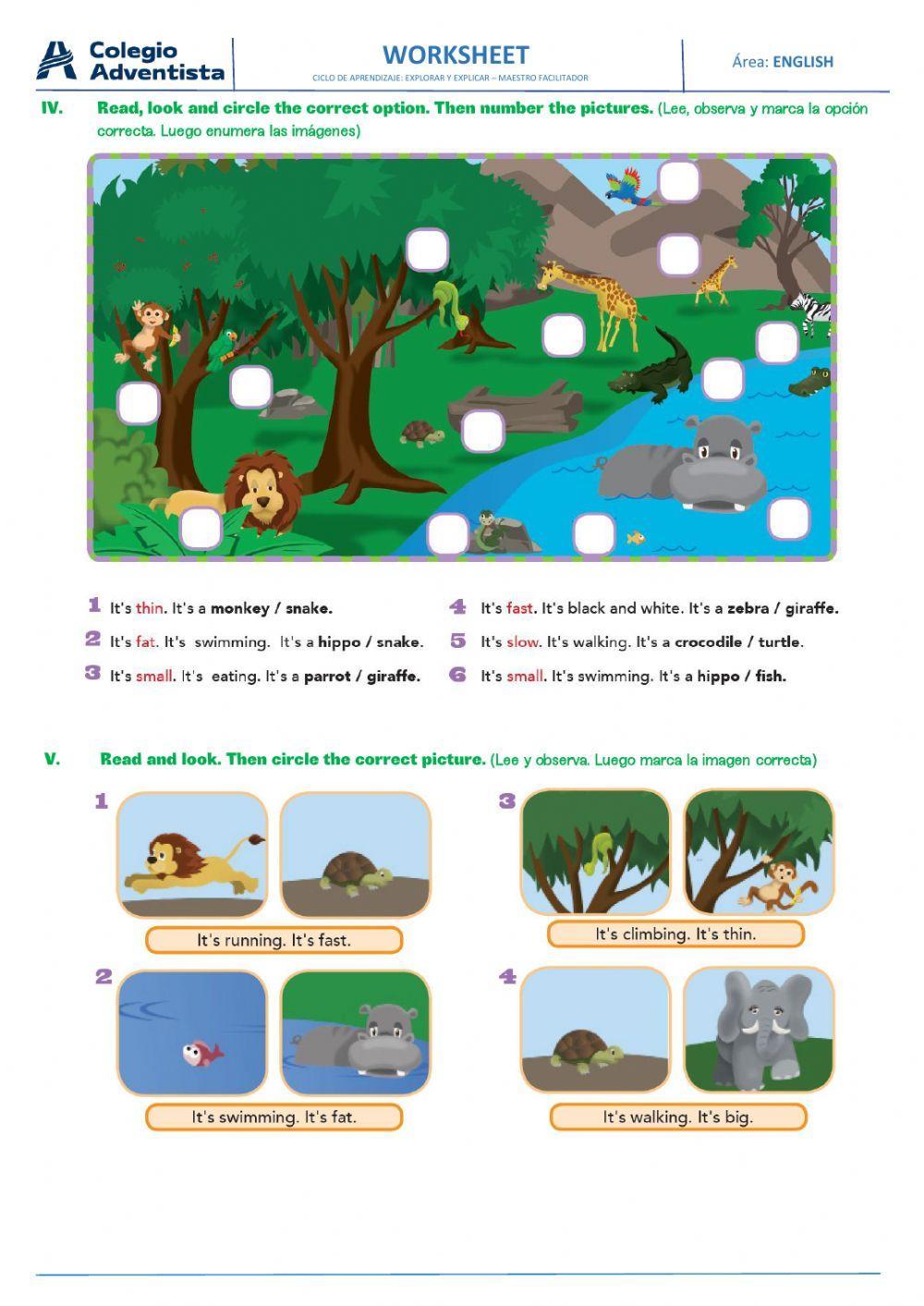 Adjectives big,… | Free Interactive Worksheets | 465609