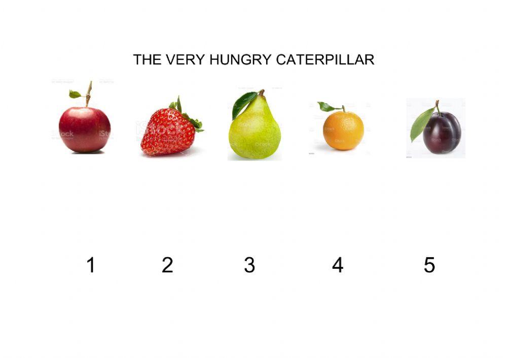 The Veery Hungry Caterpillar