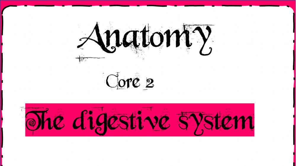Human anatomy - week-36 Human anatomy - week-36