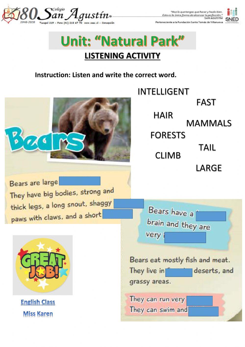 Listening Activity about Bears