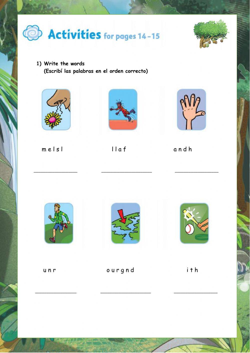 Rainforest Rescue  6