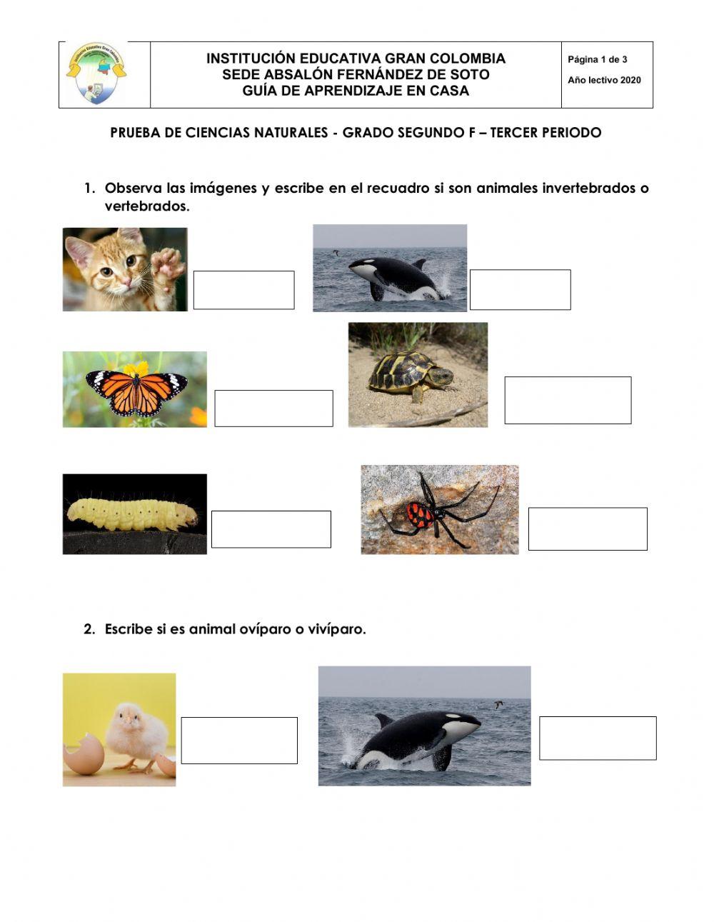 Seres vivos y estados de la materia