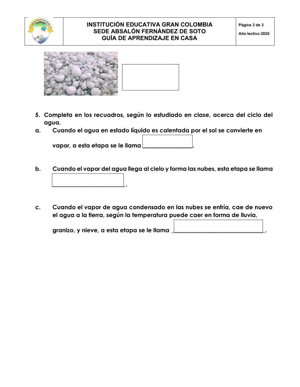 Seres vivos y estados de la materia