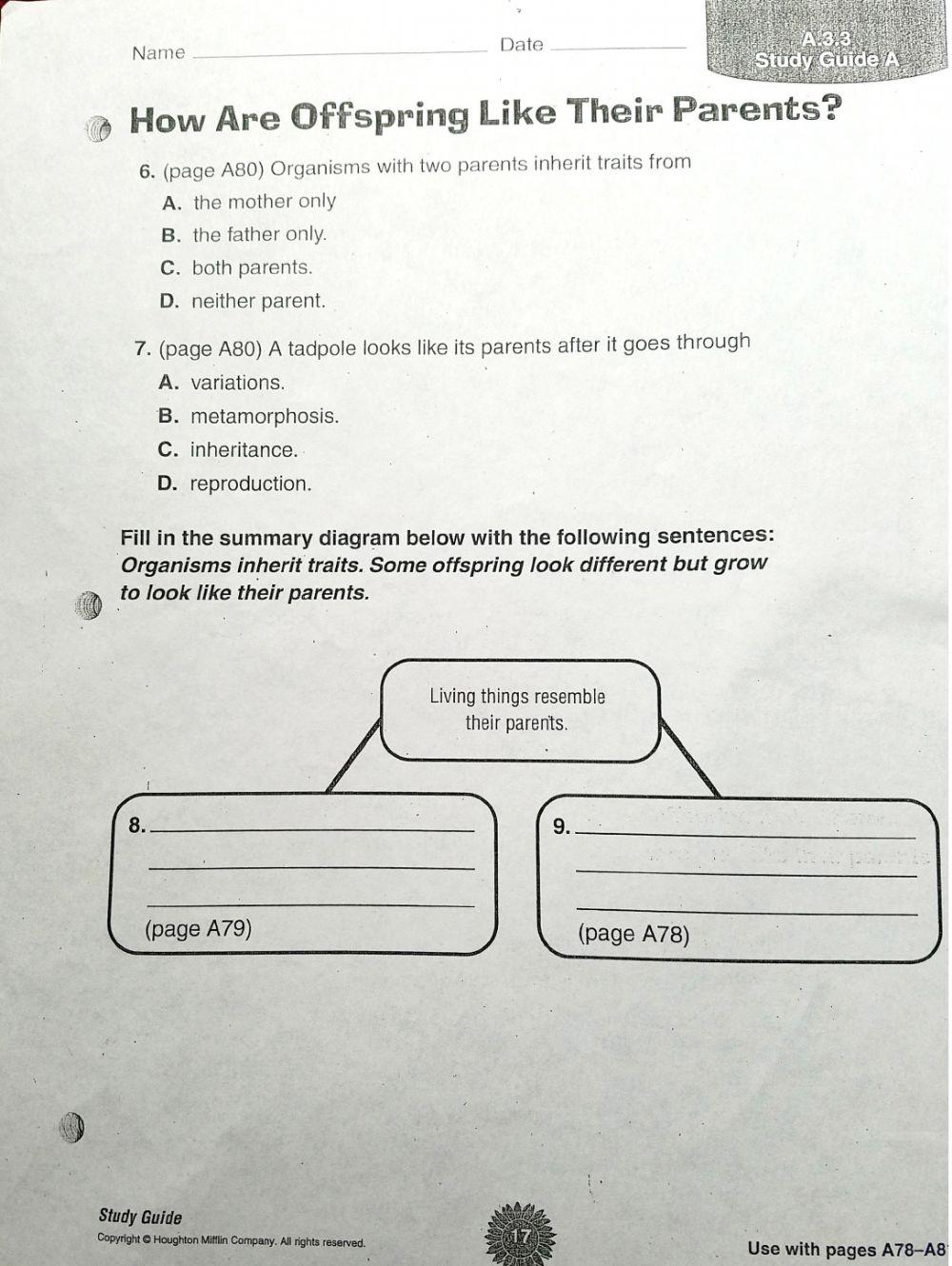 How are offspring like their parents?