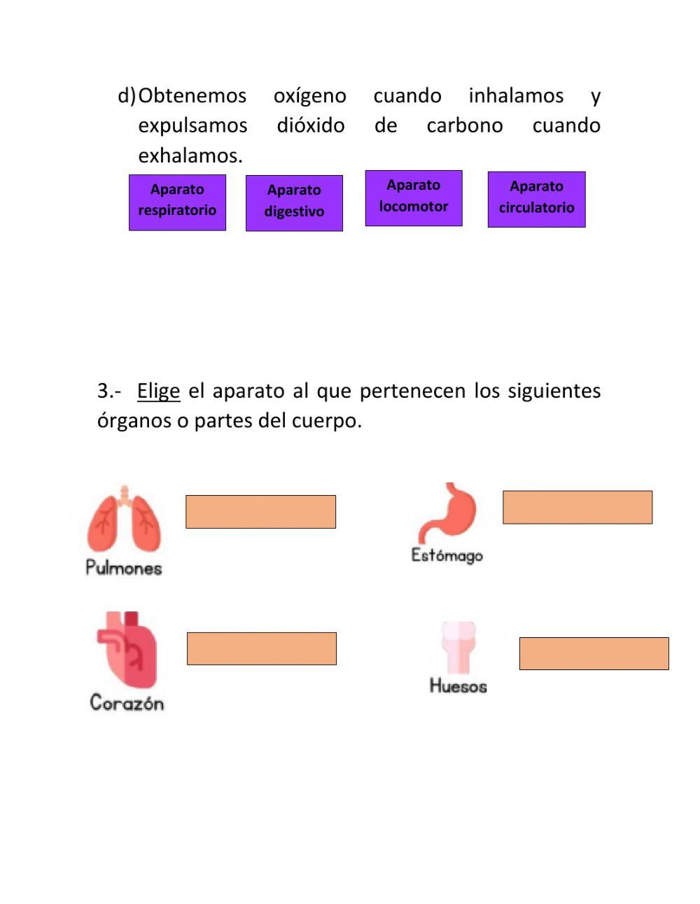 Examen ciencias naturales 1° trimestre