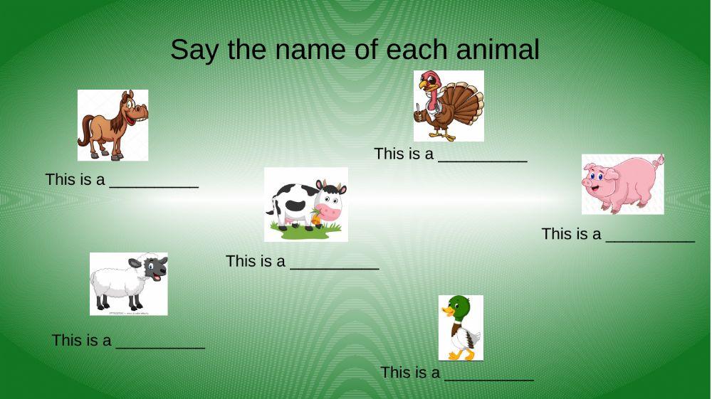 Animals match-Ever Cordero