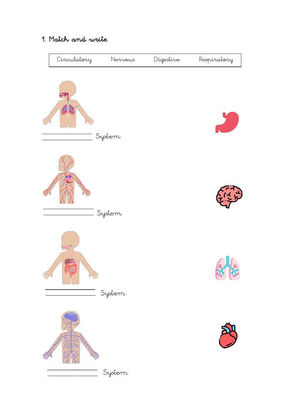 Body parts and senses