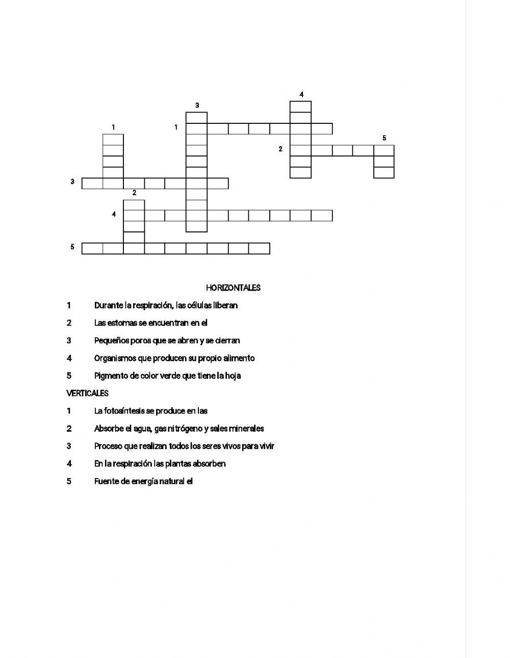 Fotosintesis y respiracion