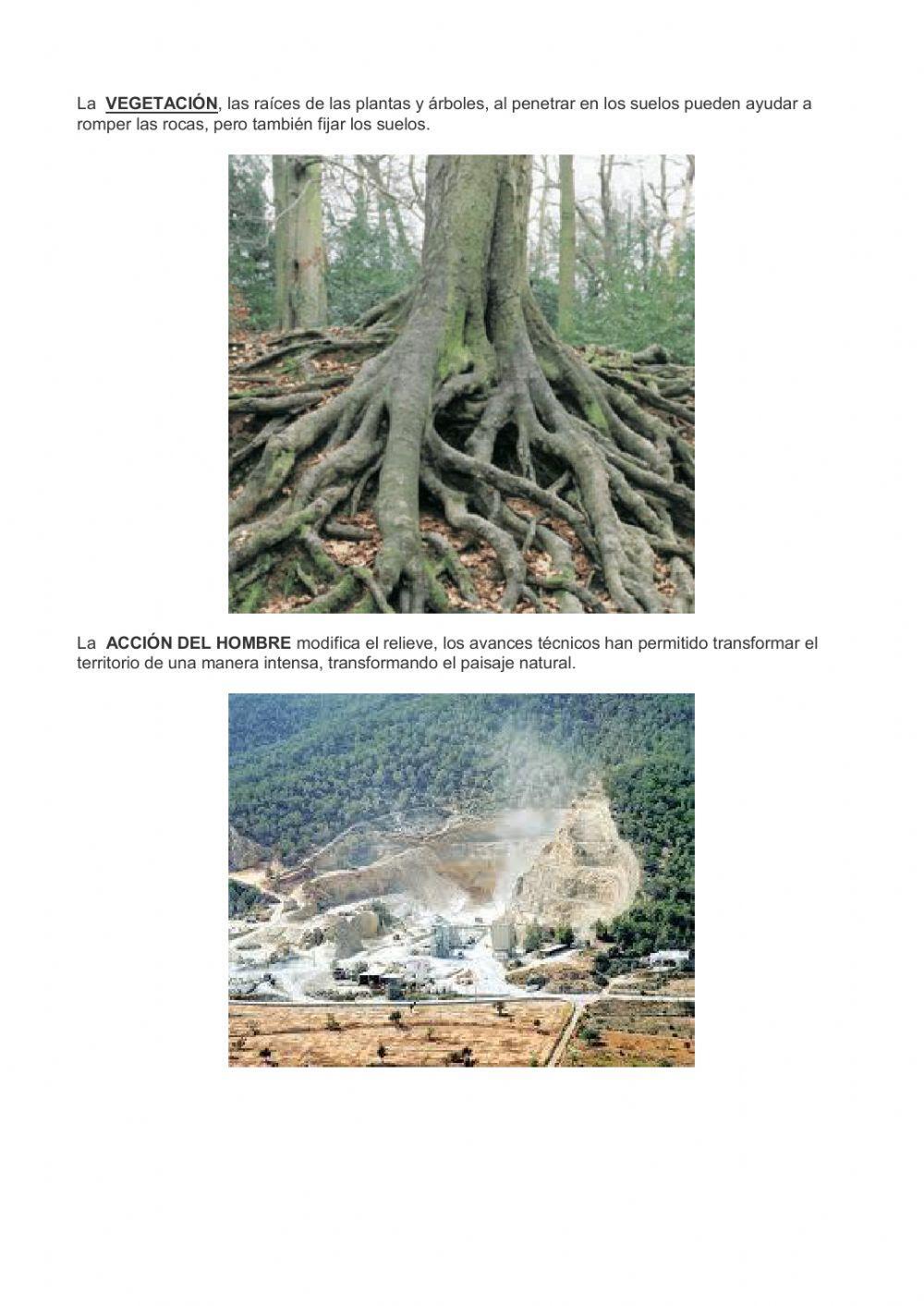 Gª-Hª.TEMA 2. PARTE 2.Agentes externos de la formacion del relieve