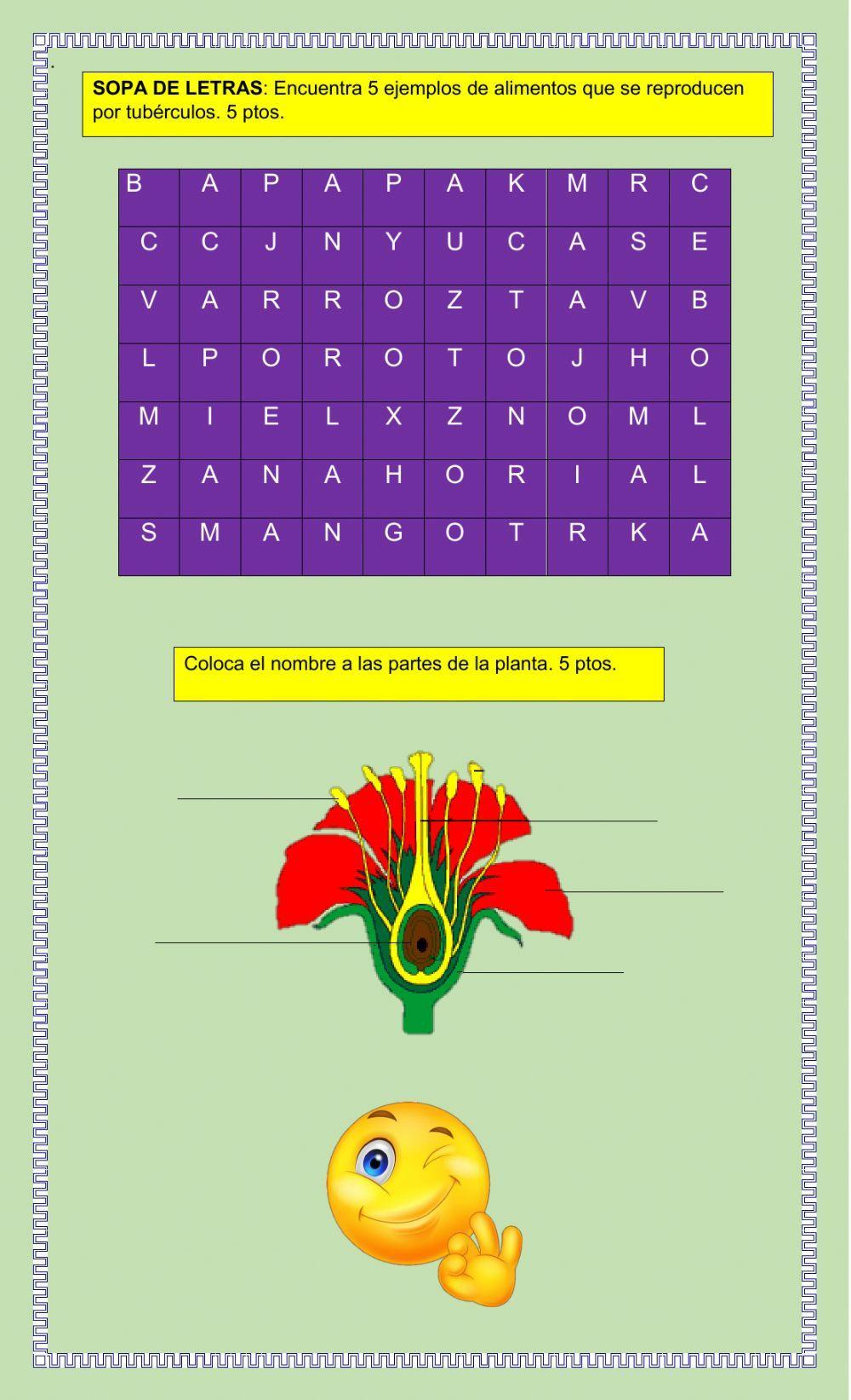 Reproducción sexual y asexual de las plantas