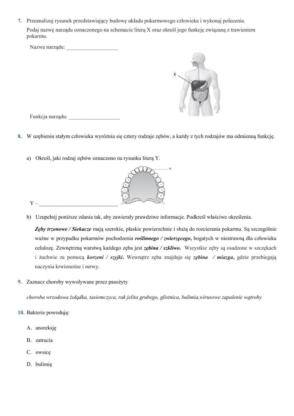 Sprawdzian Z Biologi Klasa 7 Uklad Pokarmowy 520915 | Klasa 7 - układ pokarmowy | WIOSALA