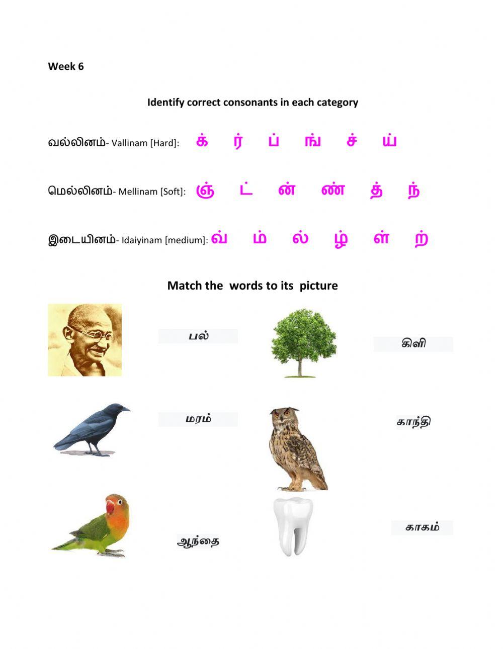 week-6-activity-live-worksheets