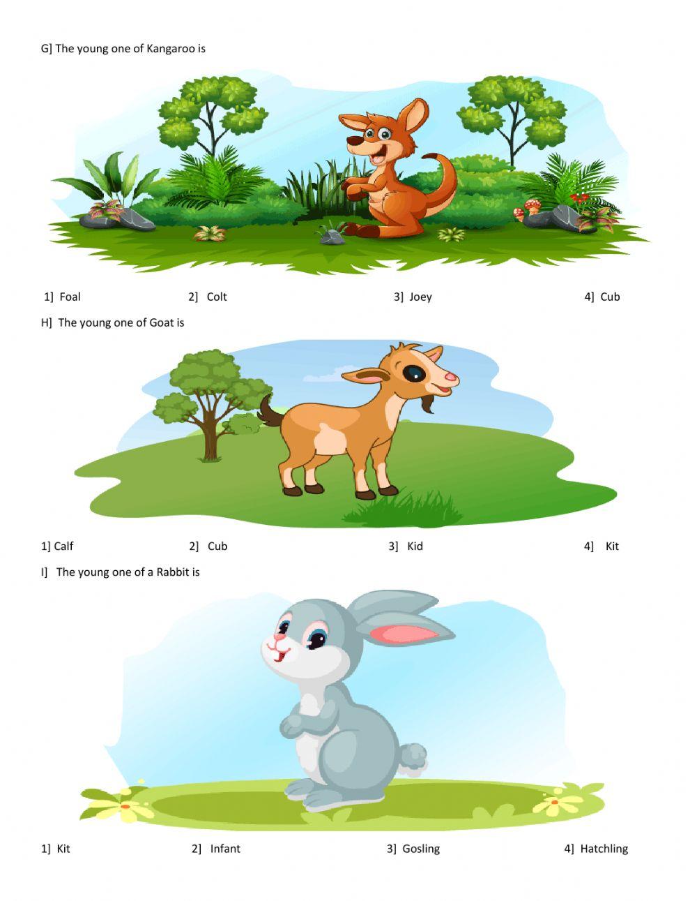 Animals and their young ones