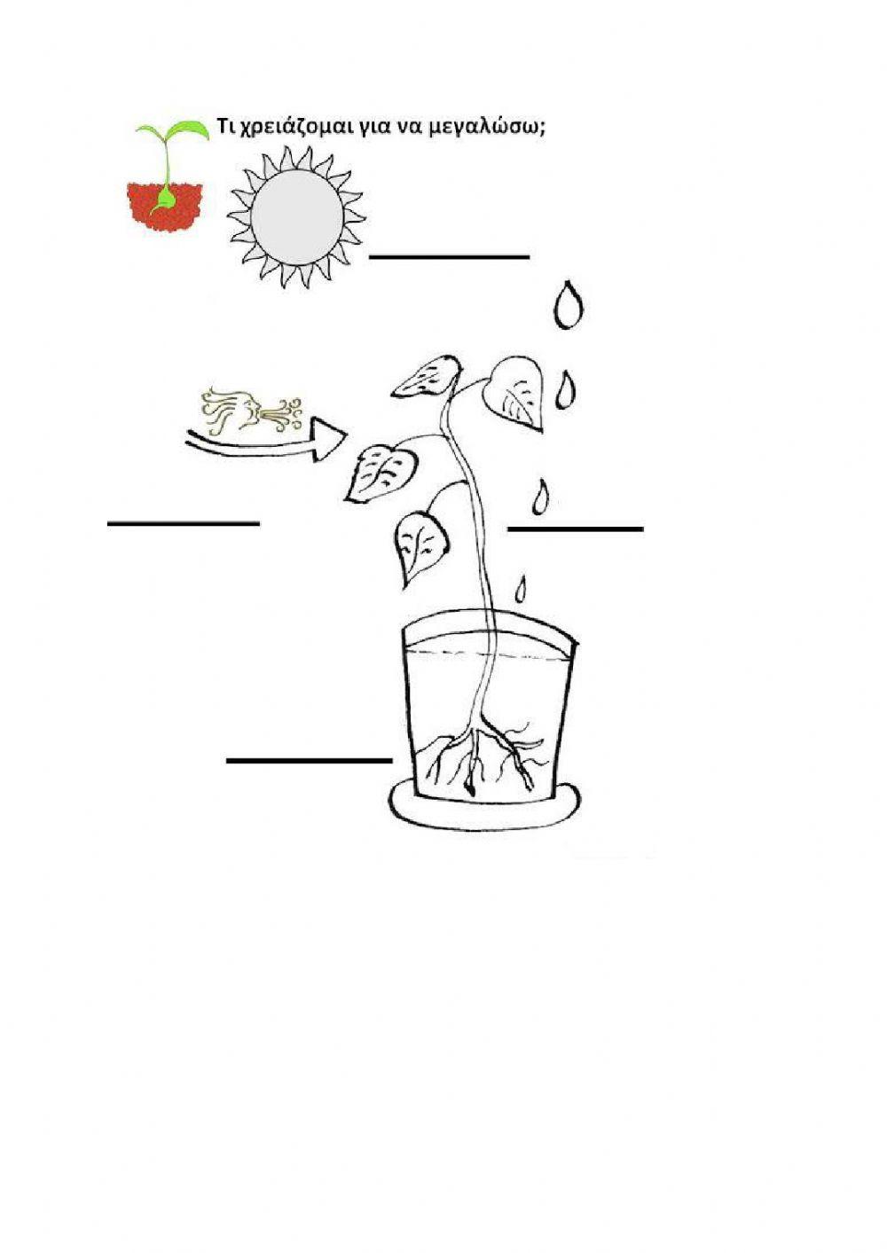 Σπορα-περιβαλλον