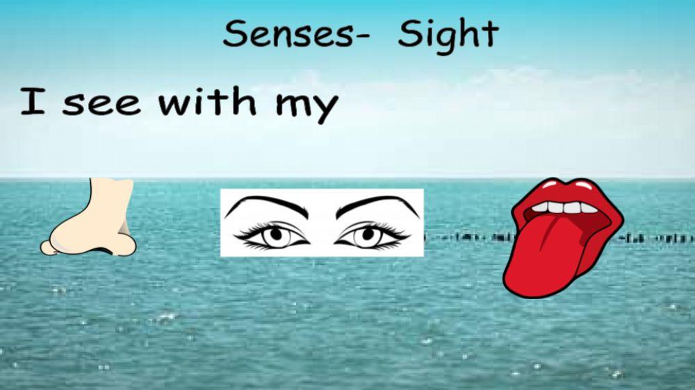 Sense-Sight