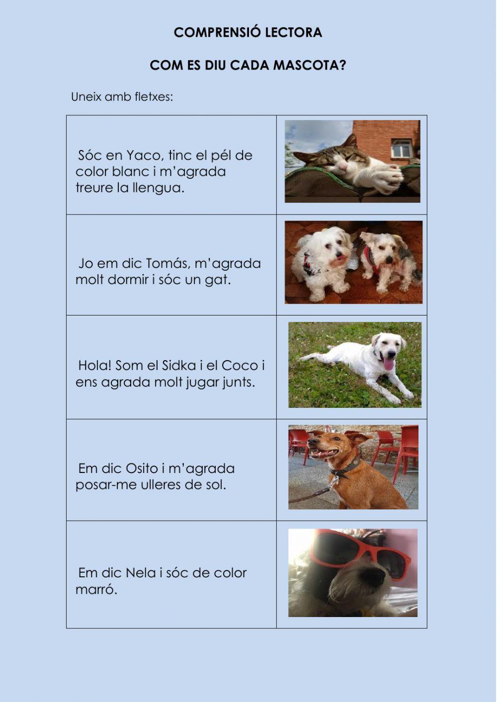 Comprensió lectora frases